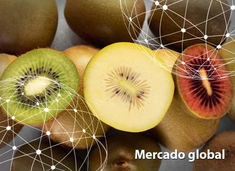 Resumen del mercado global del kiwi