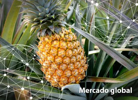 Resumen del mercado global de la piña