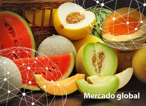 Resumen del mercado global del melón y la sandía