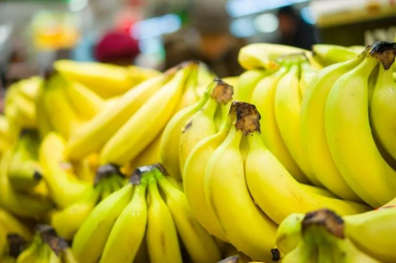 Los primeros bananos de invernadero de Rusia: cosecha pequeña, gran señal para el mercado