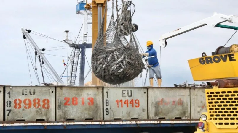 ECUADOR: Sector atunero ante el reto de competir sin subsidios