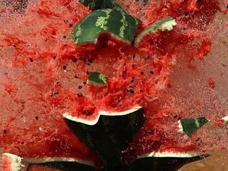 ¿Por qué algunas sandías explotan de forma espontánea?