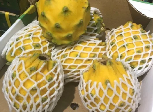 Ecuador Promoverá su Oferta Exportable en la Fruit Logistica 2025 en Berlín