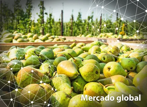Resumen del mercado global de la pera