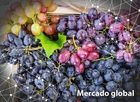 Resumen del mercado global de la uva