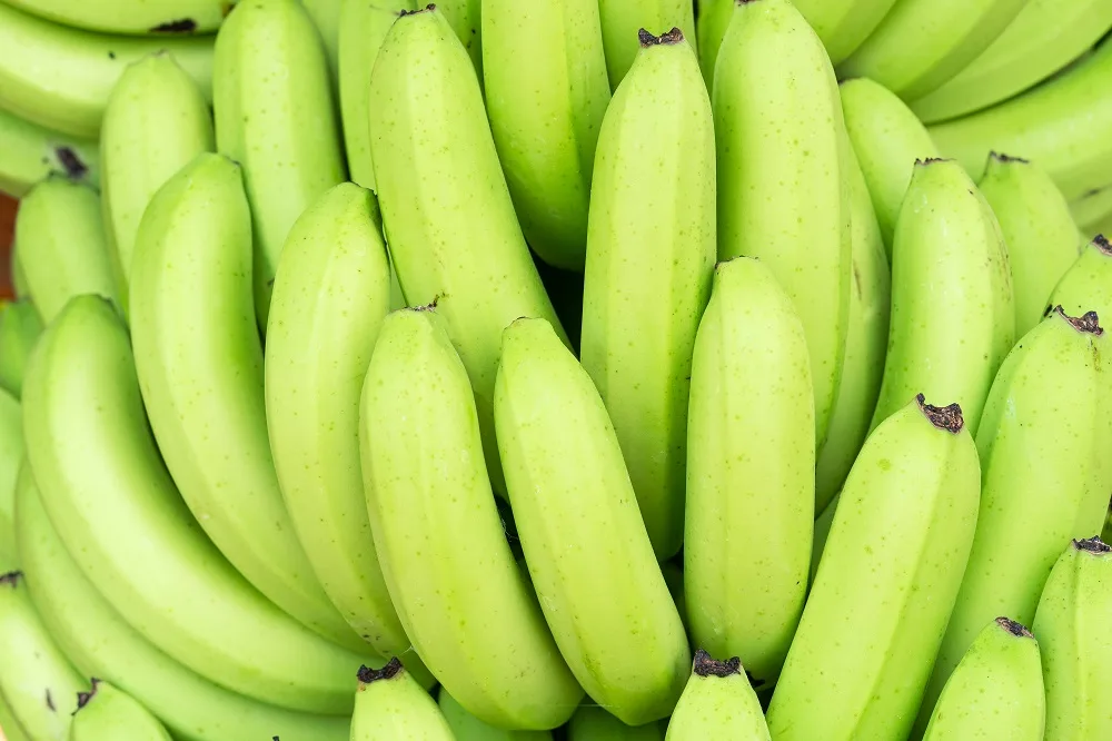 El suministro de banano Fairtrade se mantiene estable en 2026