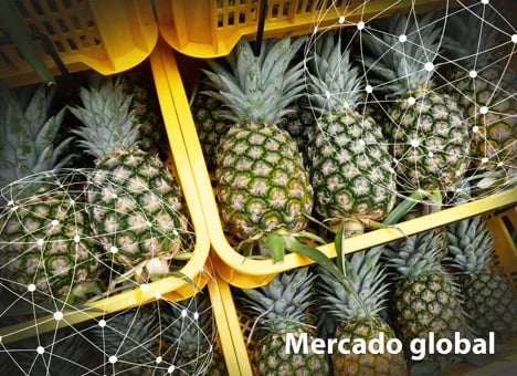 Resumen del mercado global de la piña