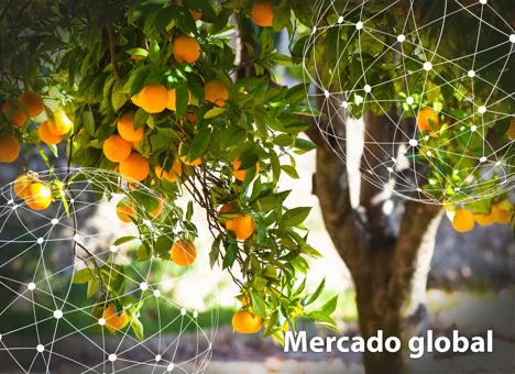 Resumen del mercado global de la naranja