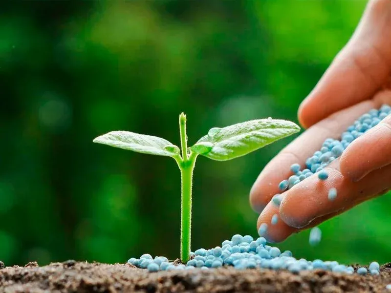 IICA y TFI impulsan acuerdo para garantizar el abastecimiento de fertilizantes en América