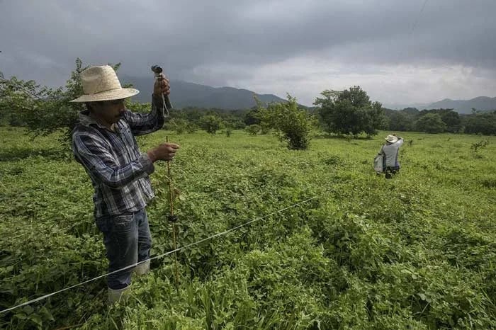 COLOMBIA: Antes de vender su finca, deberá notificar al Estado