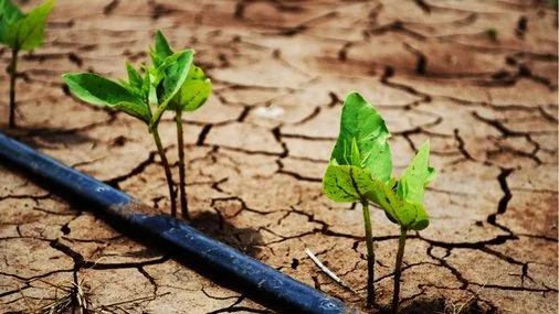 El cambio climático sin control podría reducir el PIB mundial per cápita hasta en un 24 %