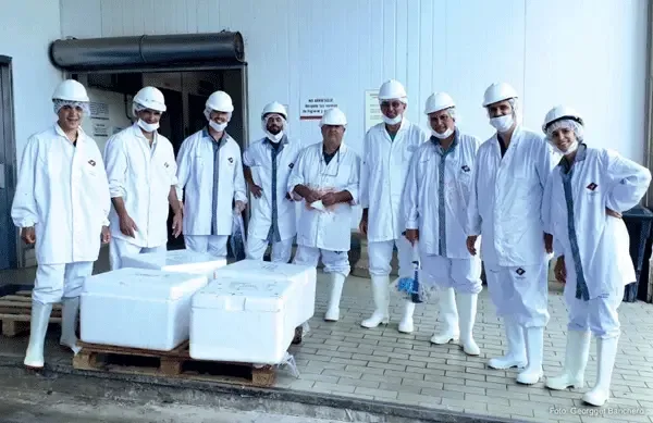 Duración del ayuno y lugar de espera pre-faena en vacunos: ¿Cuál es el impacto sobre el peso de la canal, la hidratación y la calidad de la carne?