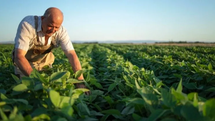 Internacional: ¿Cuánto ganarán los trabajadores agrícolas con visa H-2A en el 2024?
