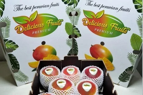 Perú: "Los mercados están pagando de seis a diez veces más por los mangos que la temporada pasada"