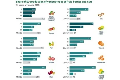 Internacional: La UE es el mayor productor de cítricos pese a la sequía española