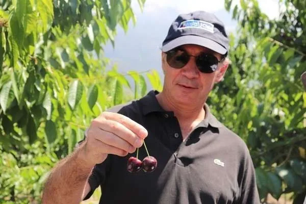 Internacional: "Chile es uno de los pocos países que tiene todas sus frutas aprobadas para ingresar a China"