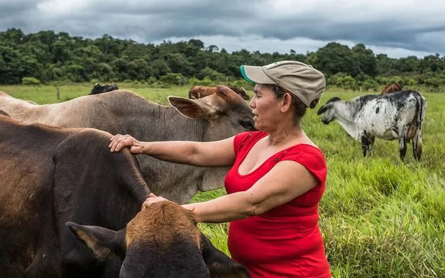 “La ganadería colombiana pasará a ser de primer nivel internacional por cuenta de la apertura de China y EE. UU.”: Lafaurie