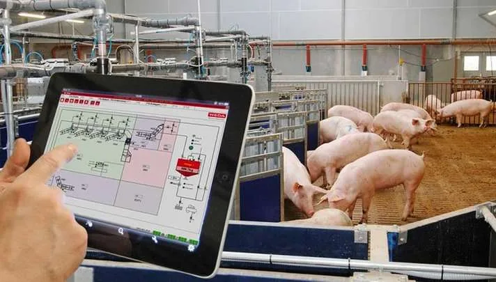 Una nueva era de la tecnología porcina