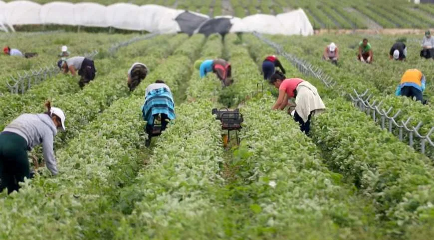 Internacional: FAO destaca el papel clave de las cooperativas en la lucha contra el hambre durante conferencia en Honduras