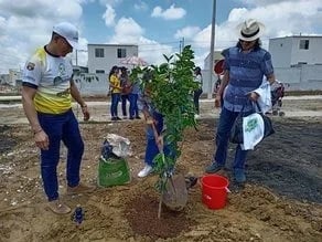 Empresa privada fomenta siembra de árboles para combatir cambio climático