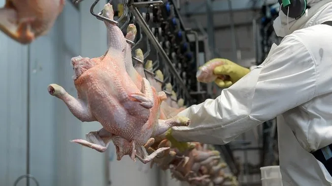 Ecuador envía 1.5 millones de libras de carne de pollo a Bahamas