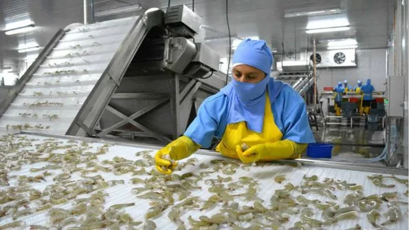 Ecuador busca fortalecer exportaciones y avanzar en acuerdos comerciales, dice Noboa