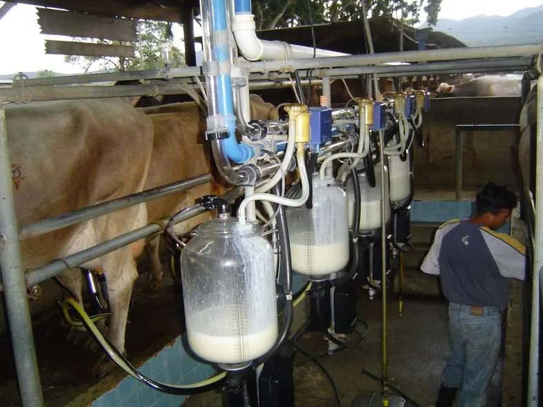 Industriales de leche solicitan reglas justas para el pago de los productores