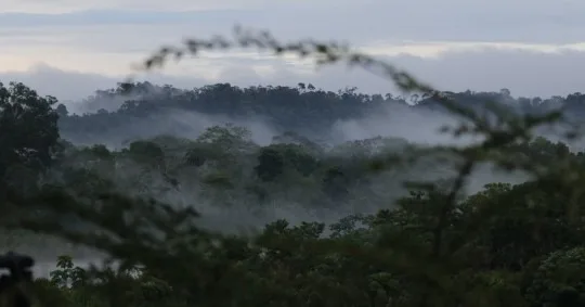 Ecuador perdió 1,16 millones de hectáreas de cobertura natural en los últimos 38 años