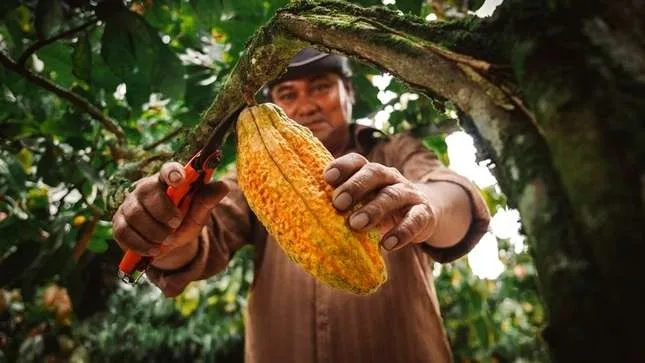 PROMPERÚ: Empresas de cinco regiones obtienen sello nacional de Biocomercio Perú