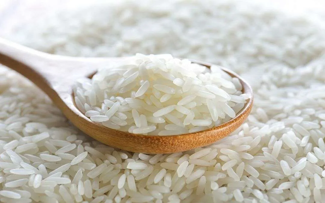 PERÚ: Precios del arroz se mantienen estables en Perú