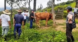 Ganaderos se capacitan en escuela de fortalecimiento productivo