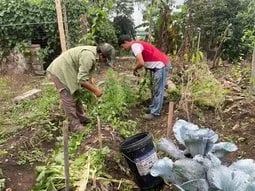 Huertos familiares apoyan su economía