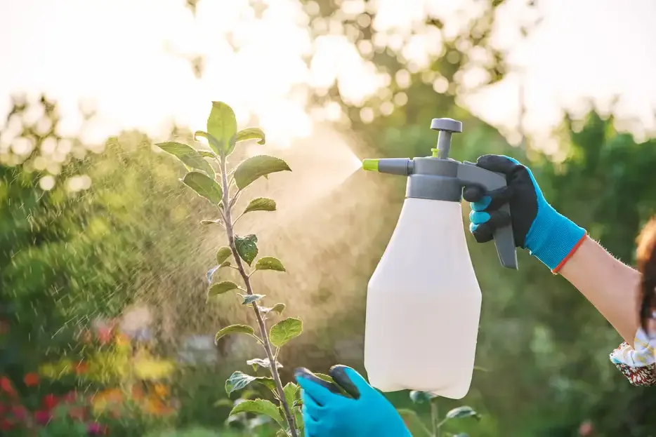Balanza comercial de fertilizantes fue positiva para Perú en US$ 96 millones entre enero y noviembre de 2023