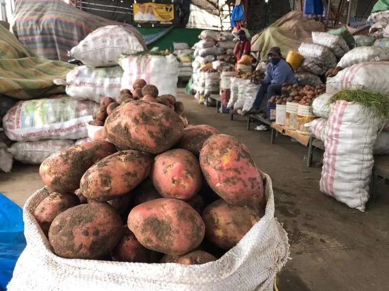 Falta de semilla, baja producción e inseguridad, contribuyen al aumento de precio de la papa
