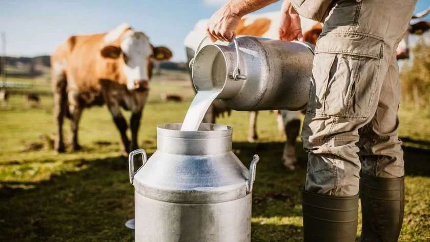 Industria láctea busca que se regularice el sector informal para mejorar calidad del alimento