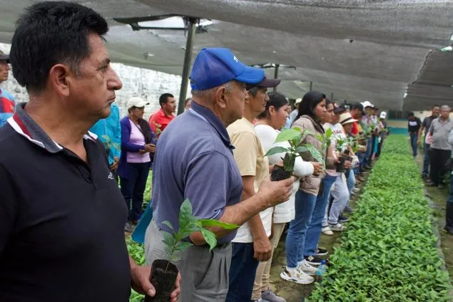 Caficultores de Pindal recibieron 60.000 plantas de café