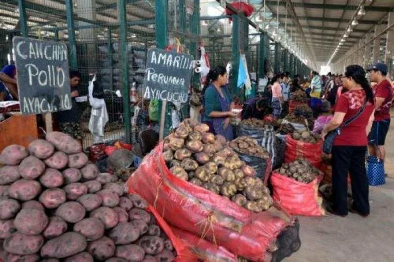 Internacional: Abastecimiento de alimentos en los mercados mayoristas de Lima alcanzó ayer las 7.723 toneladas