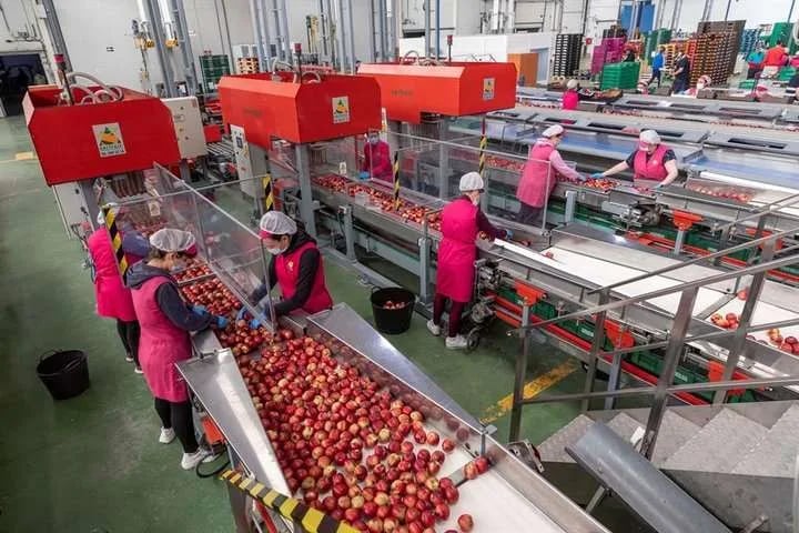 Internacional: “Estamos atenazados por el incremento de los costes y la ausencia de condiciones a las exportaciones”