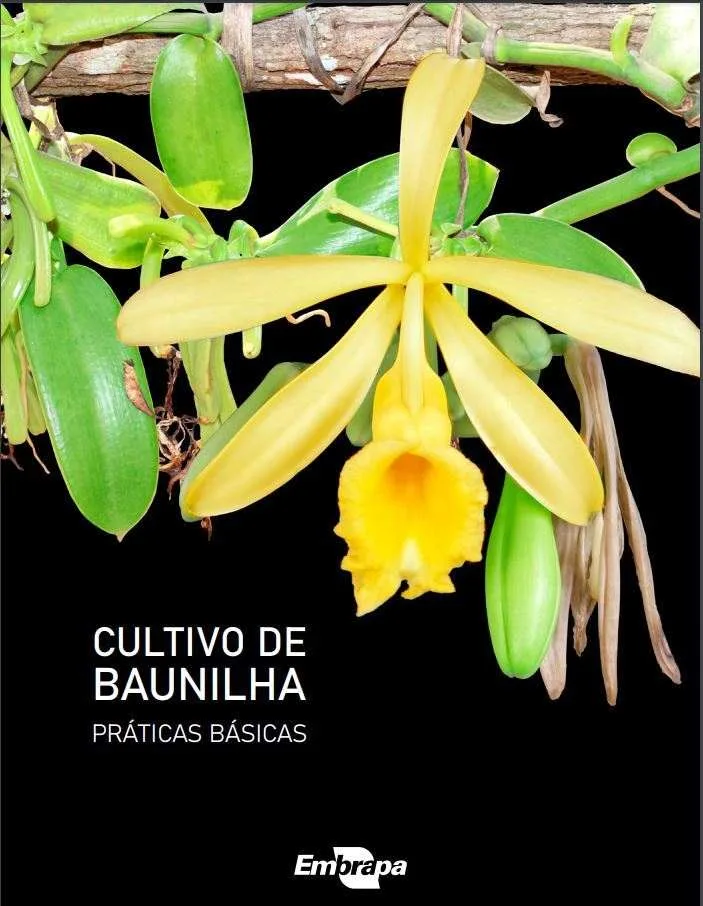 Embrapa lanza el libro Cultivo de Vainilla - Prácticas Básicas