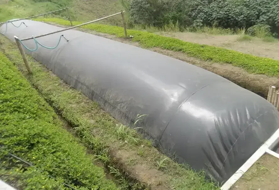 Con estiércol y restos de frutas y hortalizas generan combustible para cocinar