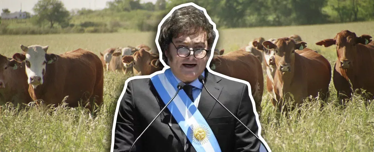 Internacional: Qué está haciendo Milei por el sector agropecuario de Argentina, para que lo cataloguen ‘la posible solución a la ganadería’
