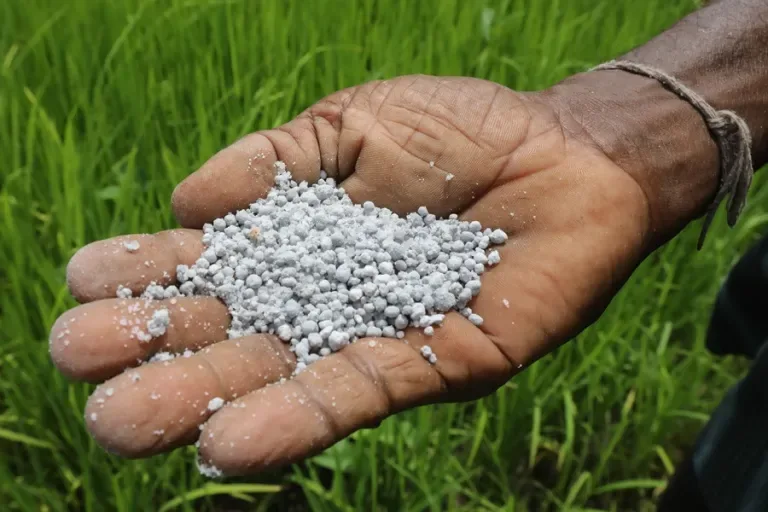 Internacional: La UE logra un acuerdo sobre legislación para el etiquetado digital de los fertilizantes