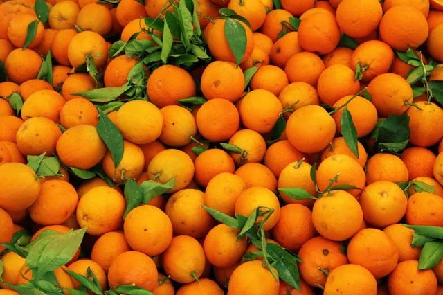 Consiguen electricidad, combustibles o fertilizantes, convirtiendo restos de naranja en hidrógeno verde