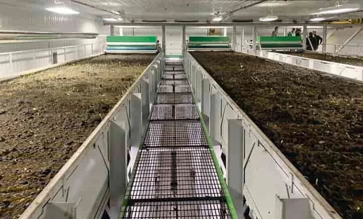 80 millones de lombrices en una granja de lombrices canadiense producen biofertilizantes para el trigo y otros cultivos