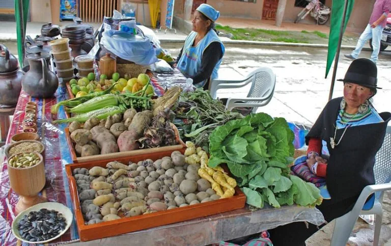 Productores solicitan espacios para vender sus productos
