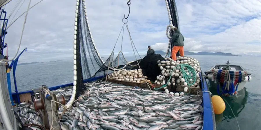 ECUADOR: Asamblea avanza en reformas para pesca e INIAP