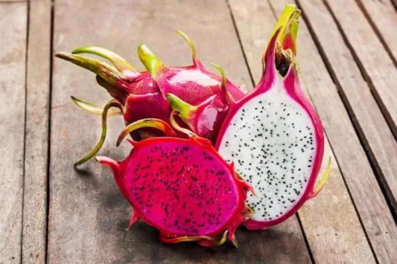 Internacional: Pitahaya peruana, una delicia espinosa lista para la expansión de exportaciones en 2024