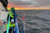 Una granja de algas frente a la costa noruega busca eliminar CO2 de la atmósfera