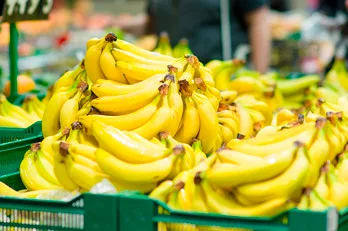 INTERNACIONAL: Por deuda la exportación de banano de Bolivia a Argentina cae 5% en el 2023