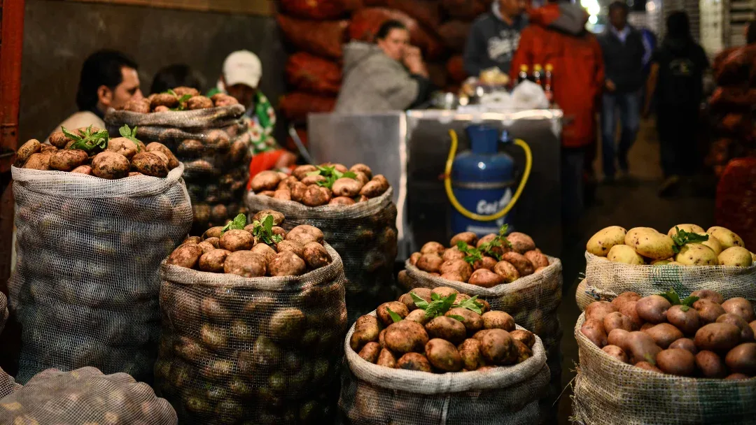 COLOMBIA: Cierra abril con una disminución en precios del tomate y de la papa